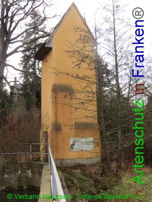 © Artenschutz in Franken® / © Verband Naturpark "Unteres Saaletal" e. V. Bild zum Eintrag (1042468-160)