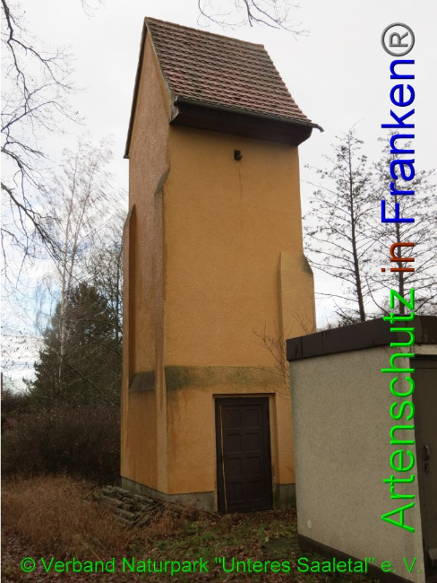 © Artenschutz in Franken® / © Verband Naturpark "Unteres Saaletal" e. V. Bild zum Eintrag (1042469-160)