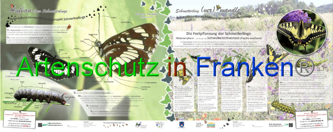 © Artenschutz in Franken® Bild zum Eintrag (1042487-160)