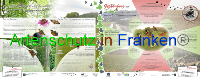 © Artenschutz in Franken® Bild zum Eintrag (1042490-160)