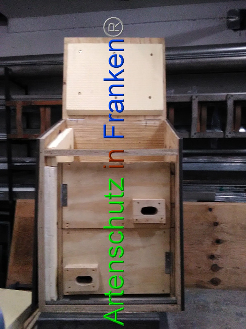 © Artenschutz in Franken® Bild zum Eintrag (1042505-160)