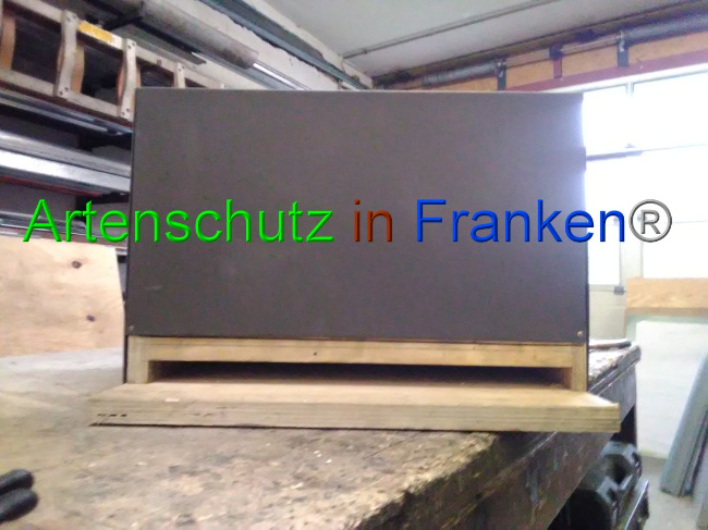 © Artenschutz in Franken® Bild zum Eintrag (1042508-160)