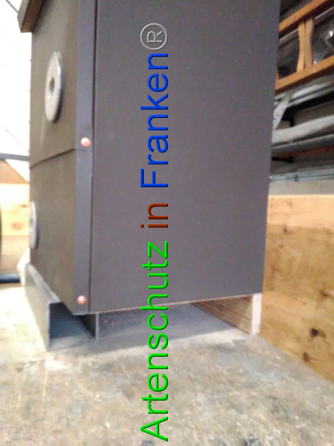 © Artenschutz in Franken® Bild zum Eintrag (1042509-160)