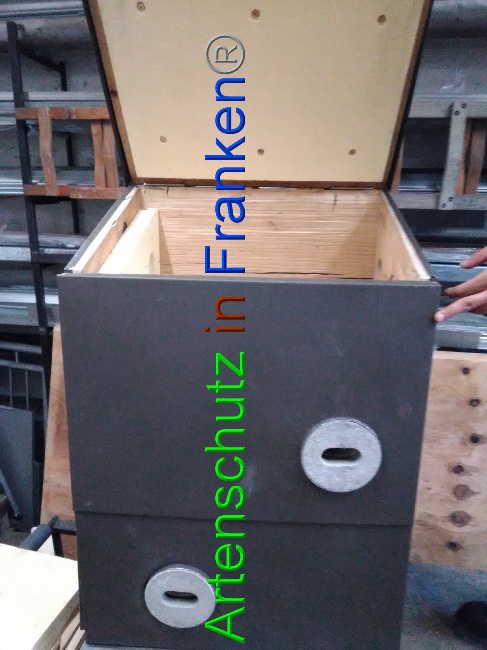 © Artenschutz in Franken® Bild zum Eintrag (1042510-160)