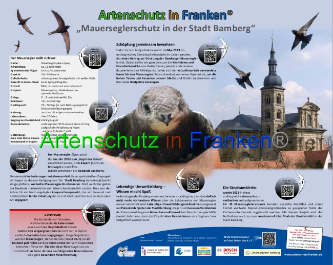 © Artenschutz in Franken® Bild zum Eintrag (1042559-160)