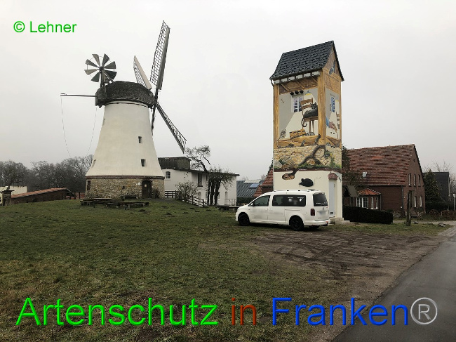 © Artenschutz in Franken® / Lehner Bild zum Eintrag (1042747-160)