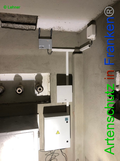 © Artenschutz in Franken® / Lehner Bild zum Eintrag (1042757-160)