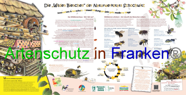 © Artenschutz in Franken® Bild zum Eintrag (1042794-160)