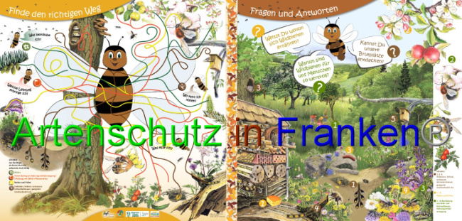 © Artenschutz in Franken® Bild zum Eintrag (1042796-160)