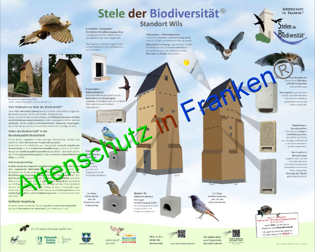 © Artenschutz in Franken® Bild zum Eintrag (1043182-160)