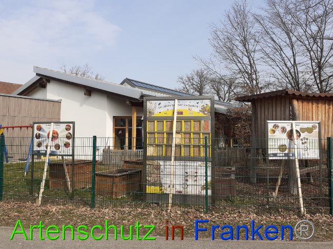 © Artenschutz in Franken® Bild zum Eintrag (1044133-160)