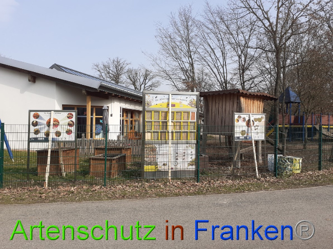 © Artenschutz in Franken® Bild zum Eintrag (1044134-160)