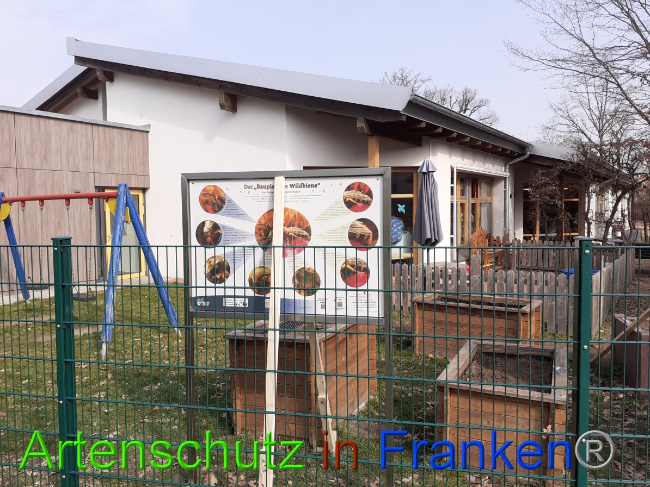 © Artenschutz in Franken® Bild zum Eintrag (1044137-160)