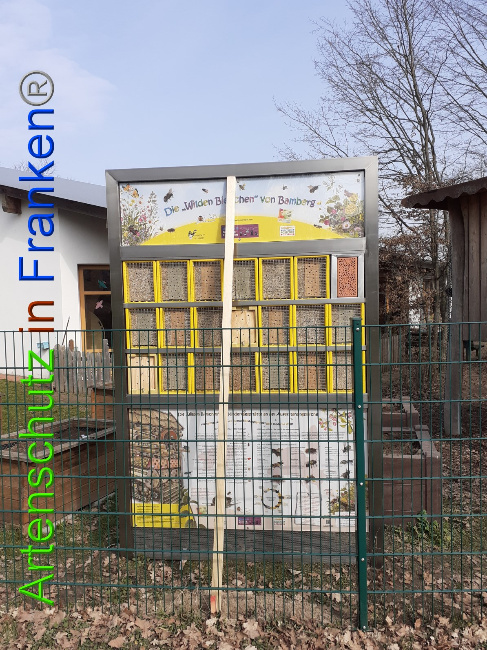 © Artenschutz in Franken® Bild zum Eintrag (1044139-160)