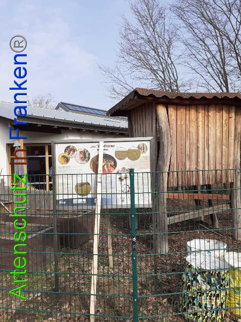 © Artenschutz in Franken® Bild zum Eintrag (1044140-160)