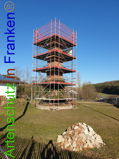 © Artenschutz in Franken® Bild zum Eintrag (1044183-160)