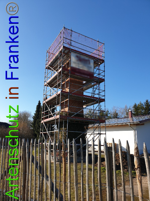 © Artenschutz in Franken® Bild zum Eintrag (1044184-160)