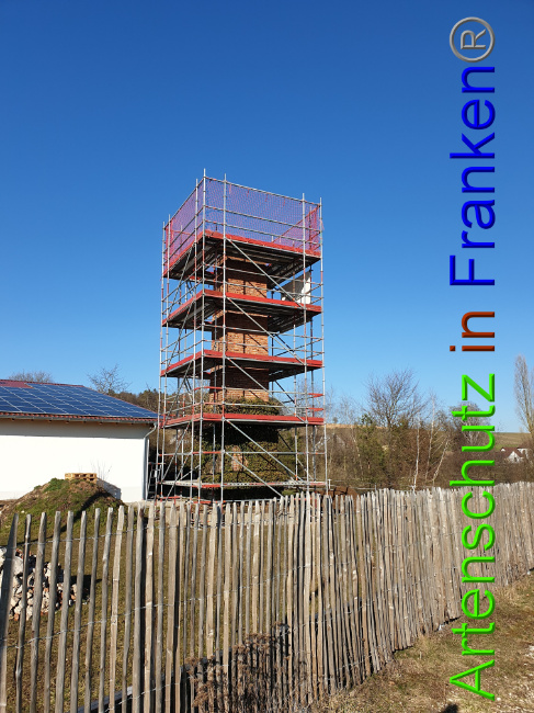 © Artenschutz in Franken® Bild zum Eintrag (1044185-160)