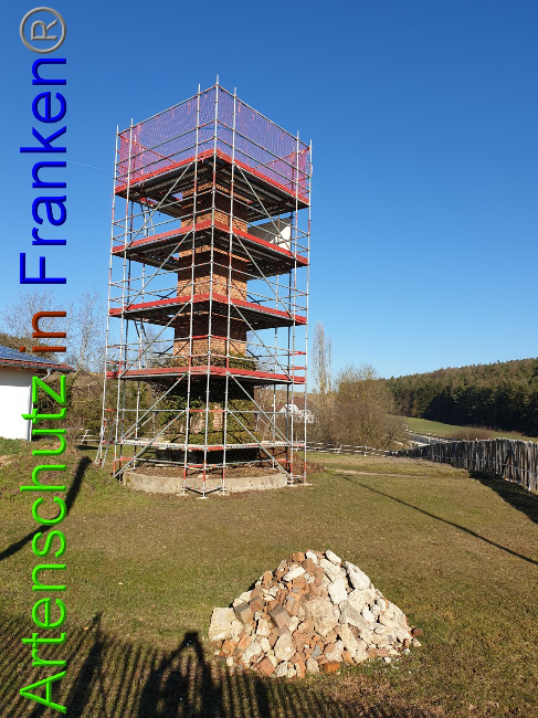 © Artenschutz in Franken® Bild zum Eintrag (1044190-160)
