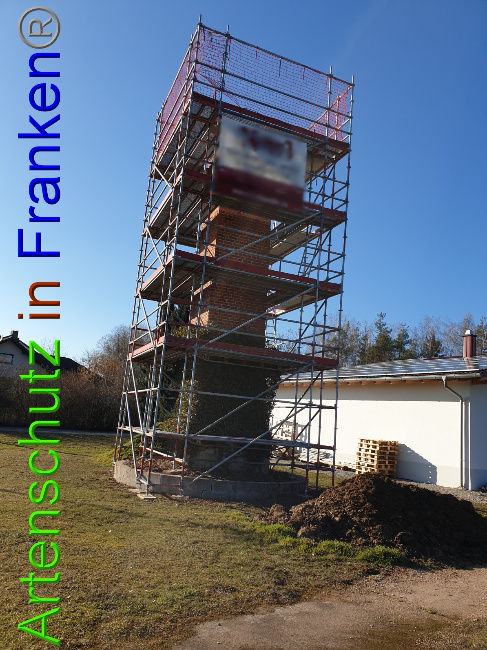 © Artenschutz in Franken® Bild zum Eintrag (1044191-160)