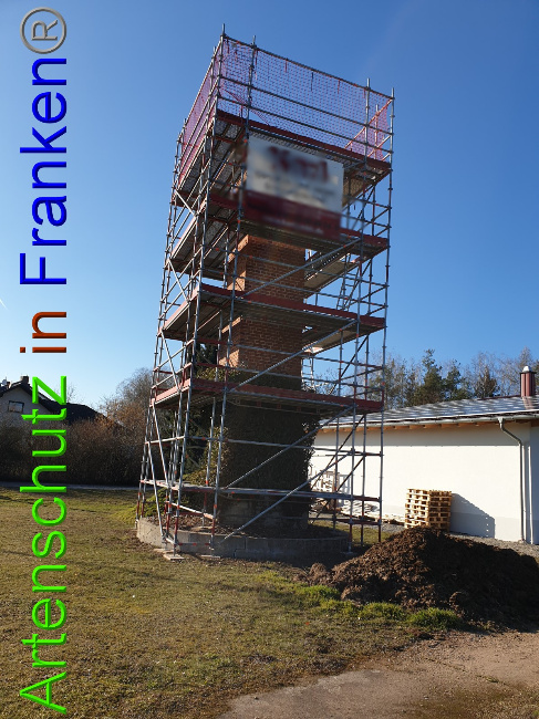 © Artenschutz in Franken® Bild zum Eintrag (1044192-160)
