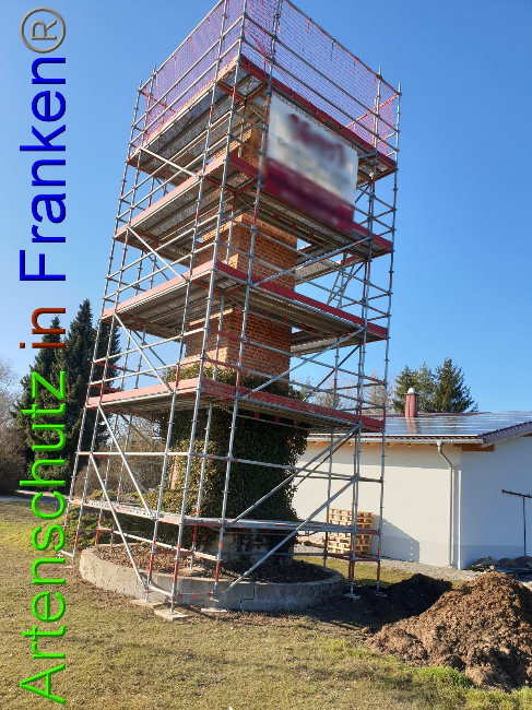 Bild zum Eintrag (1044198-160)