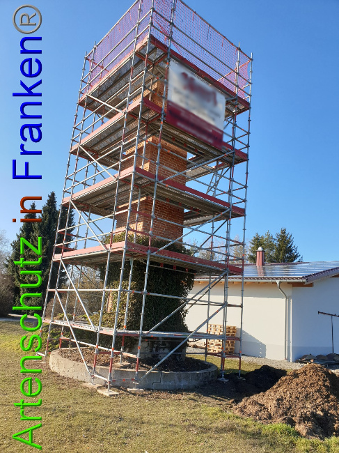 Bild zum Eintrag (1044199-160)