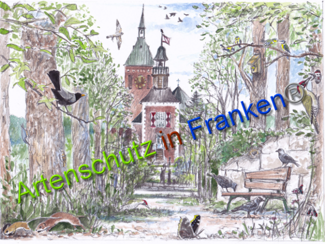 © Artenschutz in Franken® Bild zum Eintrag (1044419-160)