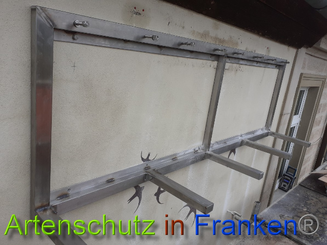 © Artenschutz in Franken® Bild zum Eintrag (1044457-160)