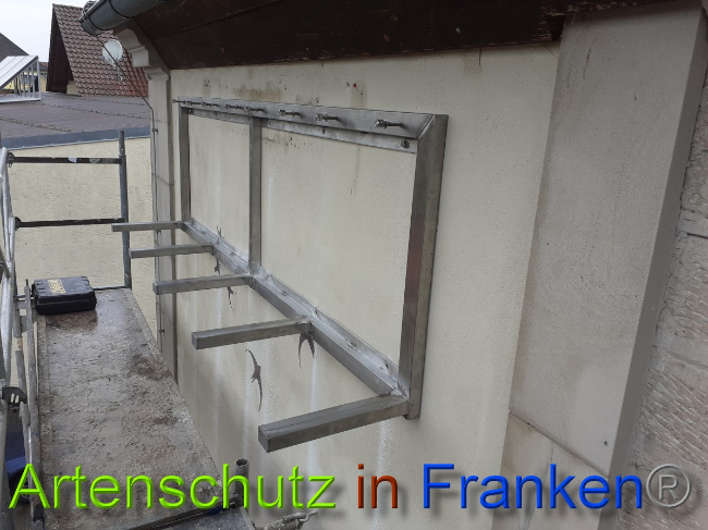 © Artenschutz in Franken® Bild zum Eintrag (1044458-160)