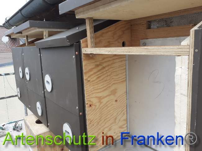 © Artenschutz in Franken® Bild zum Eintrag (1044463-160)