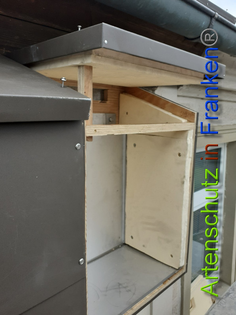 © Artenschutz in Franken® Bild zum Eintrag (1044466-160)