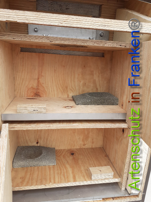 © Artenschutz in Franken® Bild zum Eintrag (1044467-160)