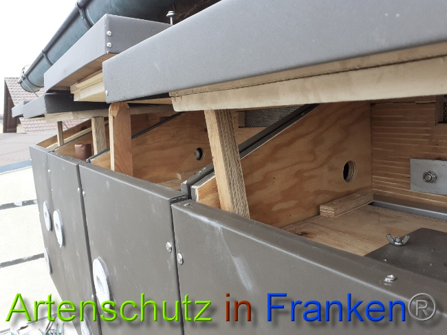 © Artenschutz in Franken® Bild zum Eintrag (1044469-160)