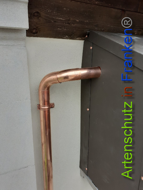 © Artenschutz in Franken® Bild zum Eintrag (1044472-160)