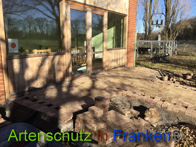 © Artenschutz in Franken® Bild zum Eintrag (1044526-160)