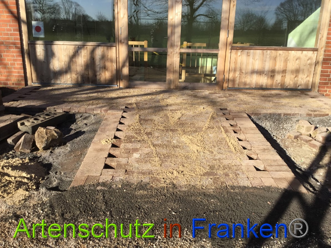 © Artenschutz in Franken® Bild zum Eintrag (1044528-160)