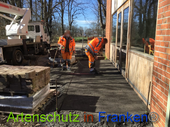 © Artenschutz in Franken® Bild zum Eintrag (1044529-160)