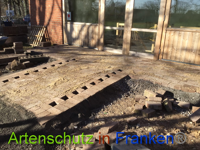 © Artenschutz in Franken® Bild zum Eintrag (1044532-160)
