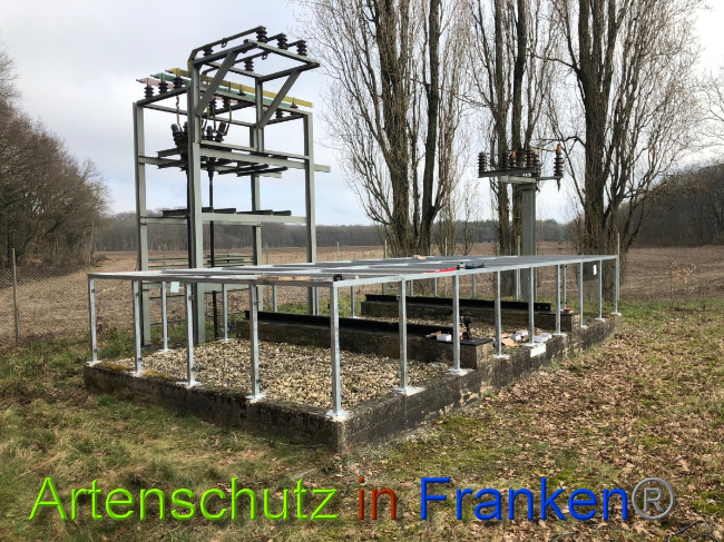 © Artenschutz in Franken® Bild zum Eintrag (1044539-160)