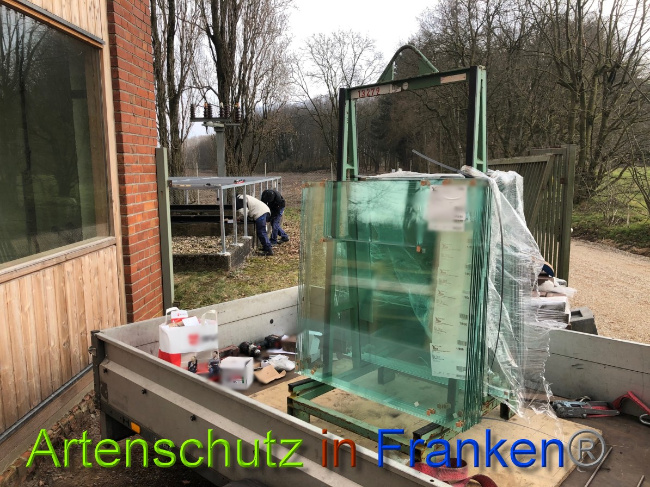 © Artenschutz in Franken® Bild zum Eintrag (1044540-160)