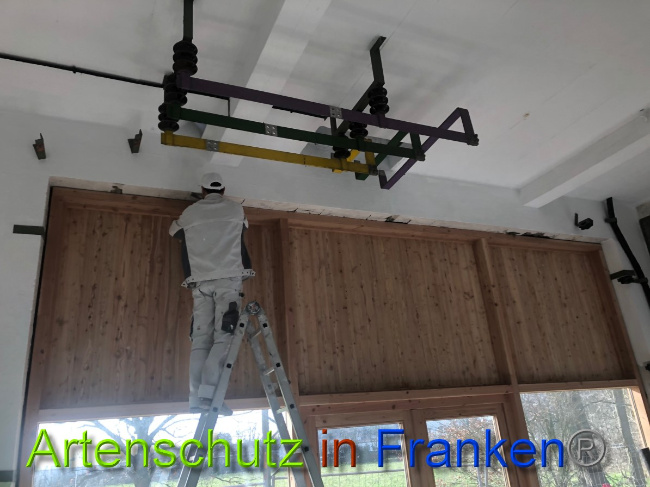 © Artenschutz in Franken® Bild zum Eintrag (1044542-160)