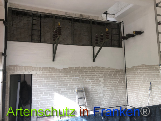 © Artenschutz in Franken® Bild zum Eintrag (1044544-160)