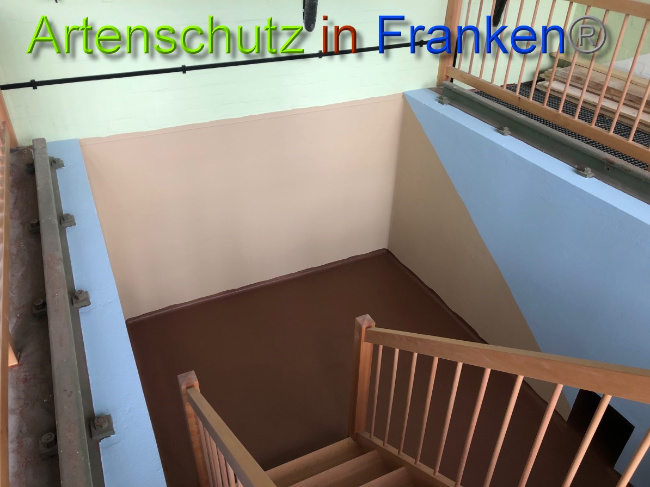 © Artenschutz in Franken® Bild zum Eintrag (1044547-160)