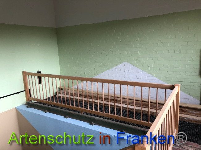 © Artenschutz in Franken® Bild zum Eintrag (1044548-160)
