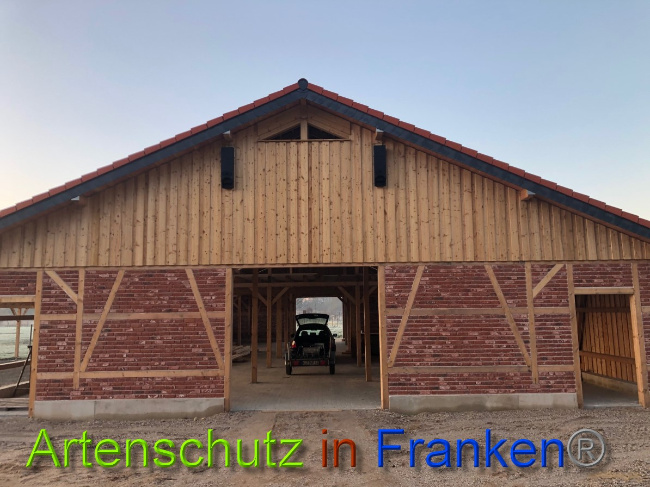 © Artenschutz in Franken® Bild zum Eintrag (1044552-160)
