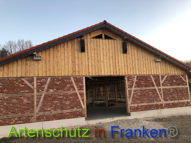 © Artenschutz in Franken® Bild zum Eintrag (1044553-160)