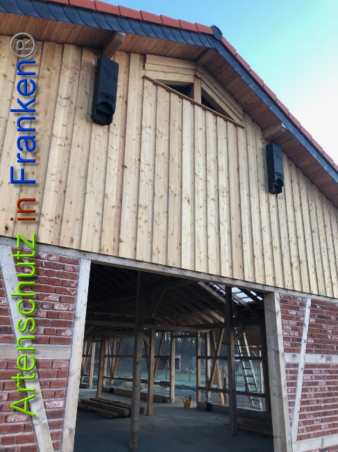 © Artenschutz in Franken® Bild zum Eintrag (1044556-160)