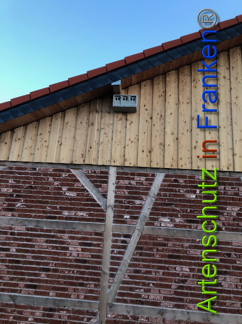 © Artenschutz in Franken® Bild zum Eintrag (1044557-160)