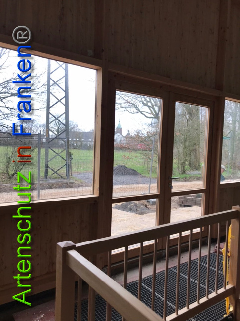 © Artenschutz in Franken® / Horn Bild zum Eintrag (1044560-160)